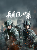 兵自风中来海报